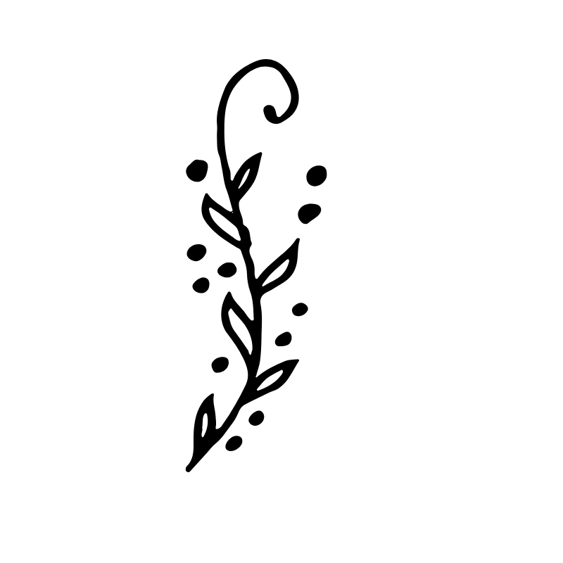 Seigle